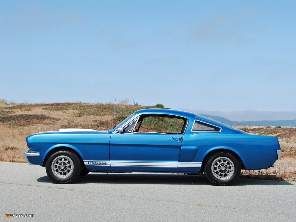 Images of Shelby GT350 1965 (1024 x 768)