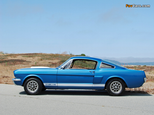 Images of Shelby GT350 1965 (640 x 480)