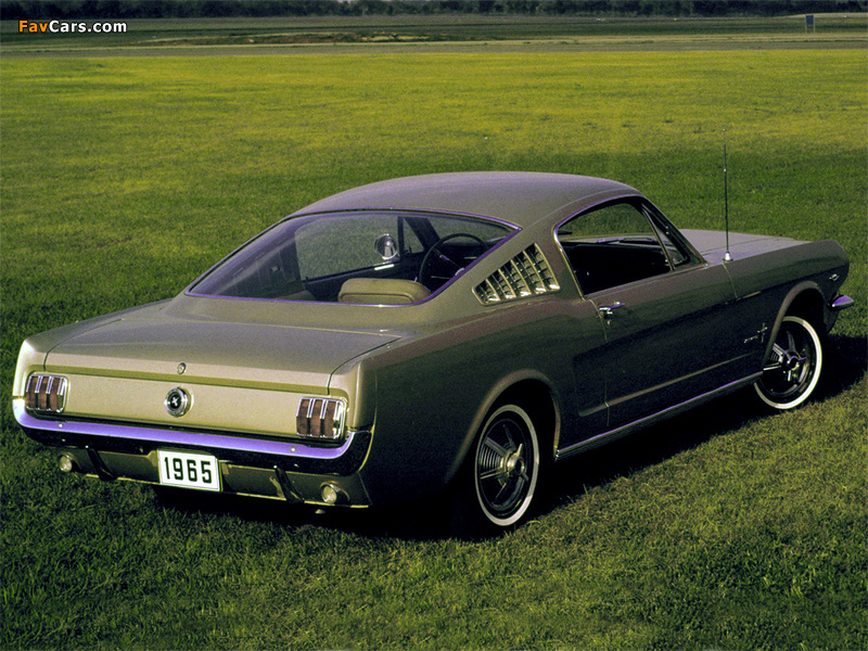Images of Mustang Fastback 1965 (800 x 600)