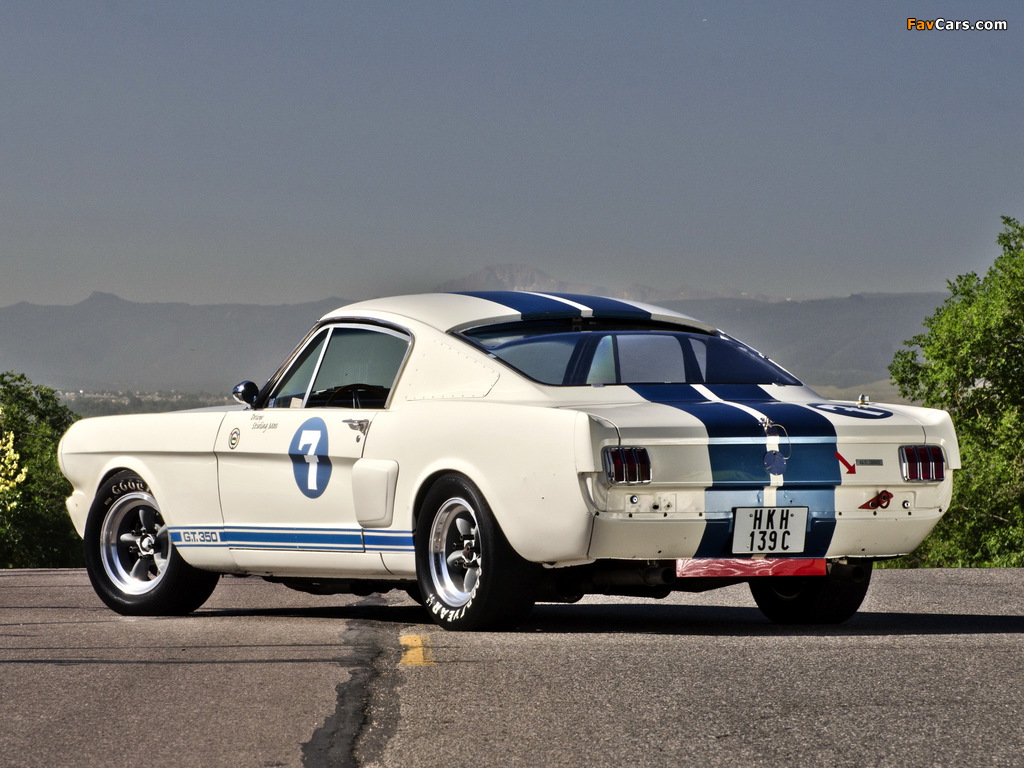 Images of Shelby GT350R 1965 (1024 x 768)