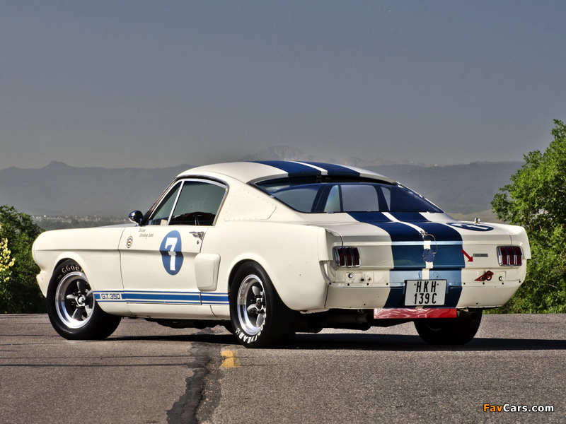 Images of Shelby GT350R 1965 (800 x 600)