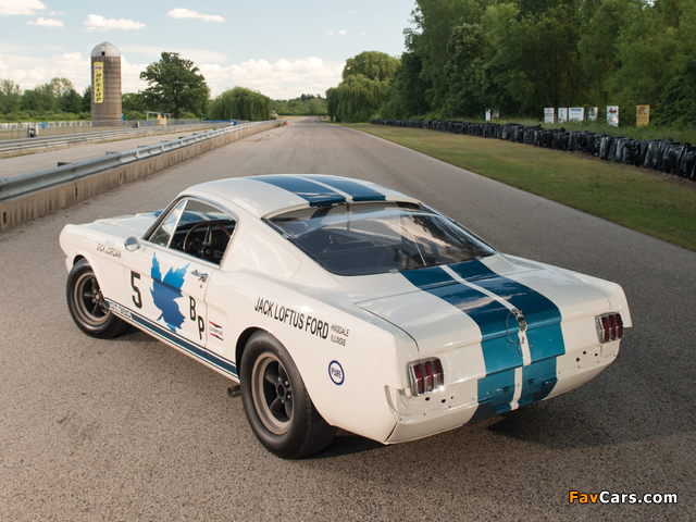 Images of Shelby GT350R 1965 (640 x 480)