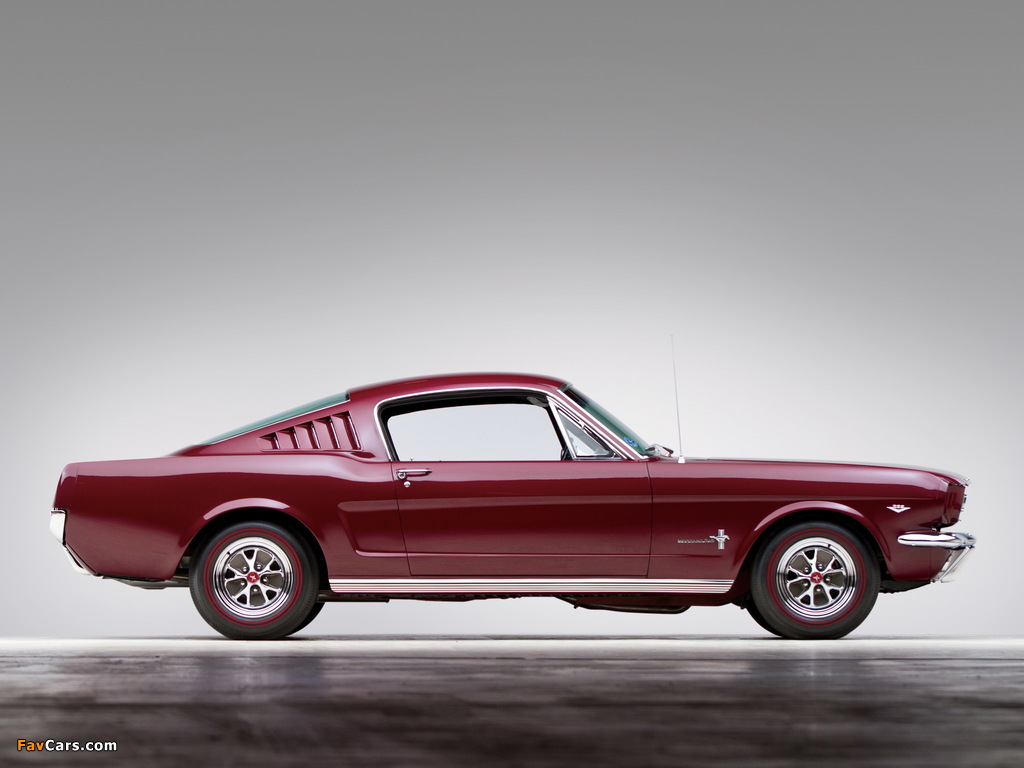 Images of Mustang Fastback 1965 (1024 x 768)