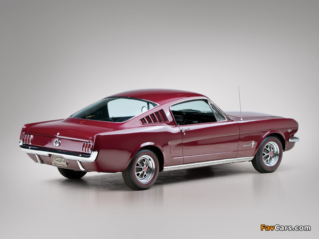 Images of Mustang Fastback 1965 (640 x 480)