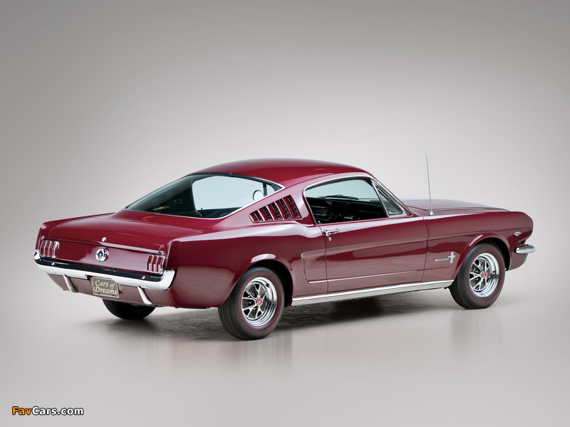 Images of Mustang Fastback 1965 (800 x 600)