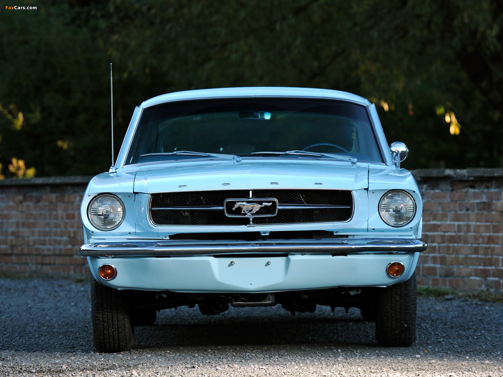 Images of Mustang Fastback 1965 (1600 x 1200)