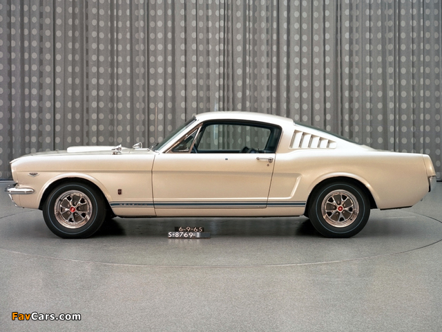 Images of Mustang GT Fastback EBF II 1965 (640 x 480)
