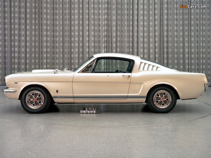 Images of Mustang GT Fastback EBF II 1965 (800 x 600)