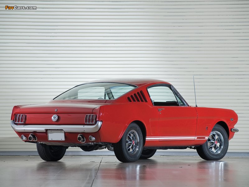 Images of Mustang GT Fastback 1966 (800 x 600)