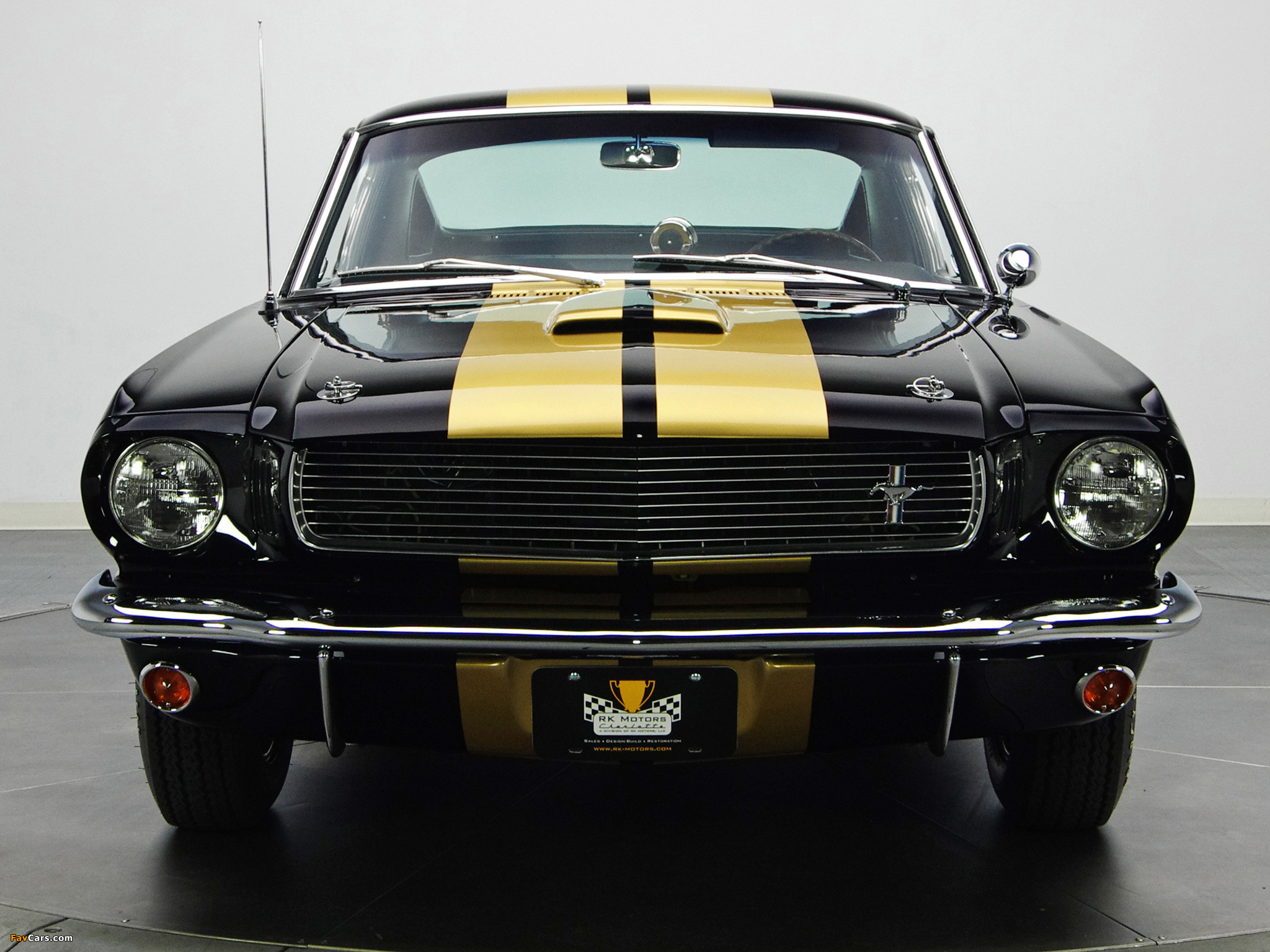 Images of Shelby GT350H 1966 (2048 x 1536)