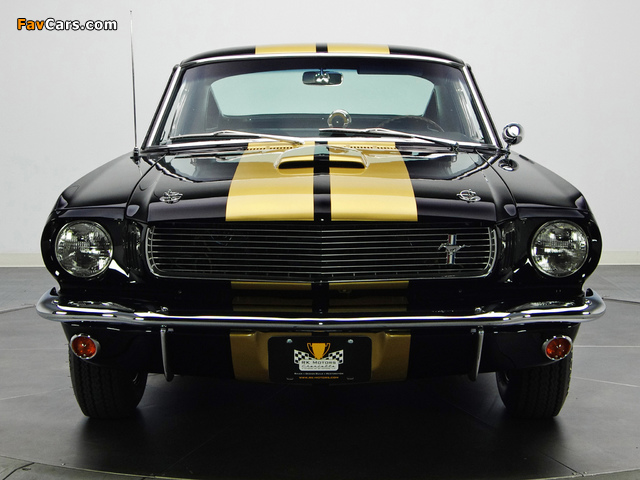Images of Shelby GT350H 1966 (640 x 480)