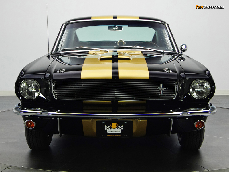 Images of Shelby GT350H 1966 (800 x 600)