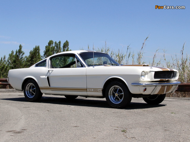 Images of Shelby GT350H 1966 (640 x 480)
