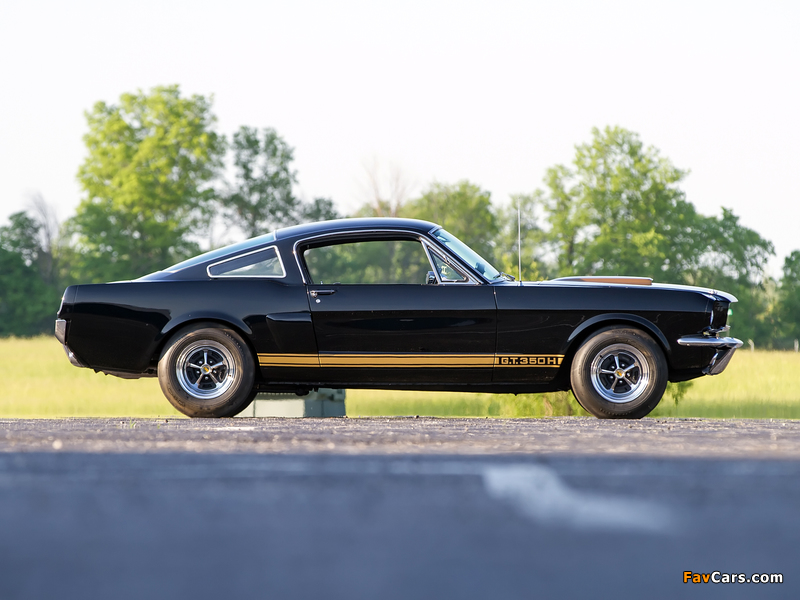 Images of Shelby GT350H 1966 (800 x 600)