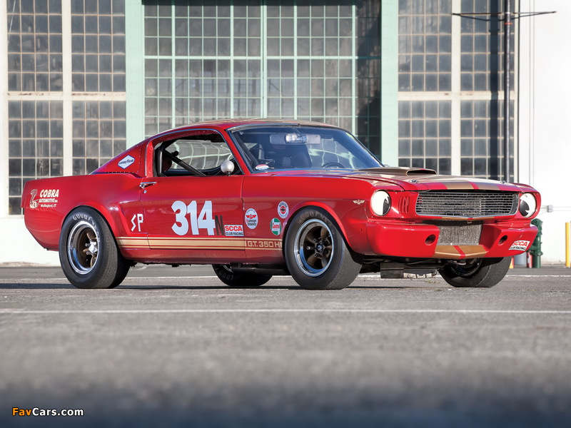 Images of Shelby GT350H SCCA B-Production Race Car 1966 (800 x 600)