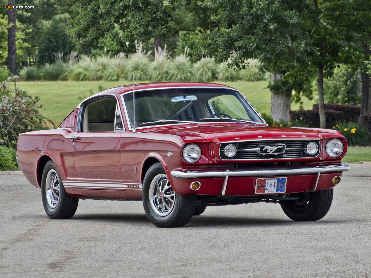 Images of Mustang GT Fastback 1966 (1280 x 960)