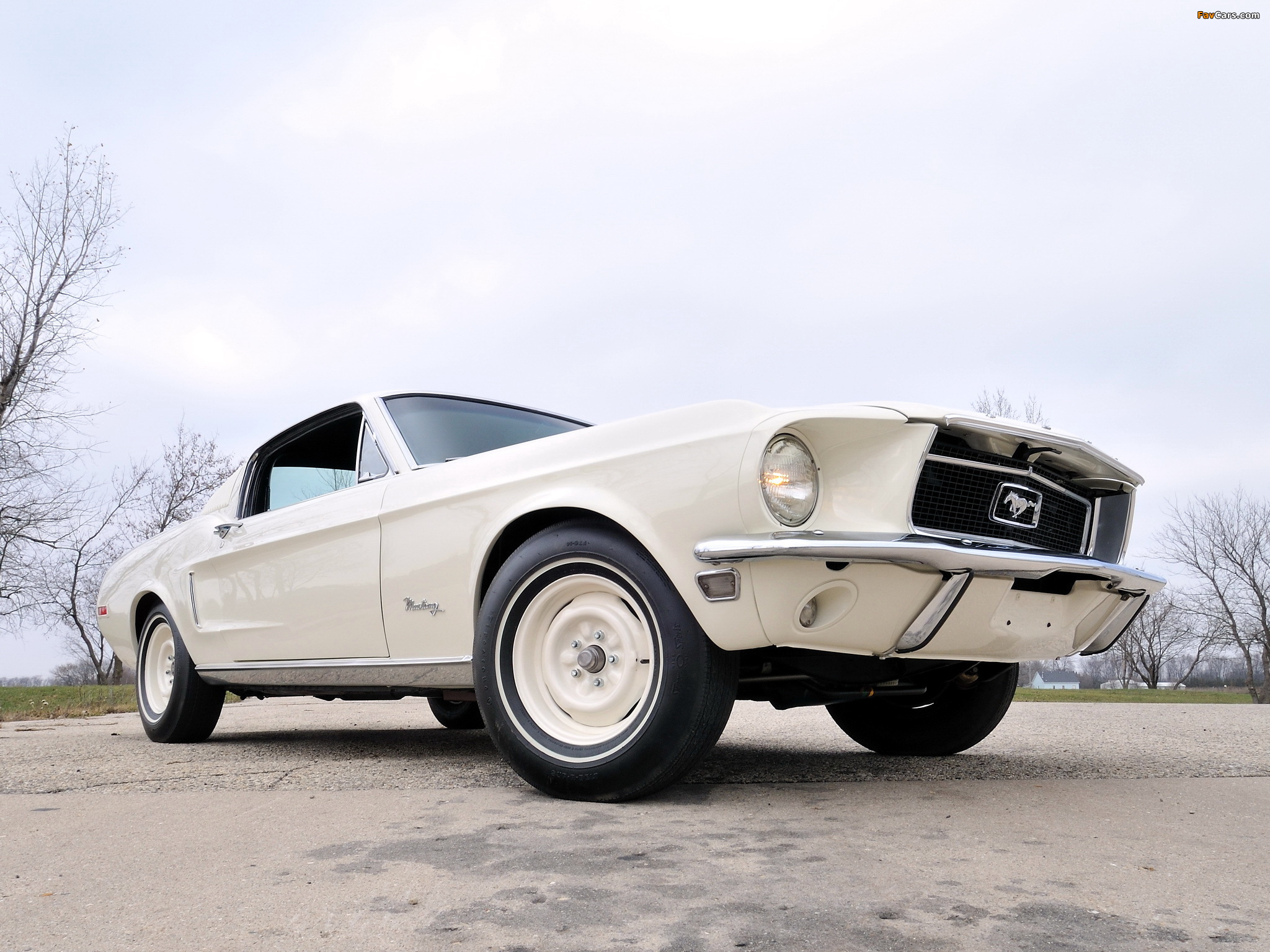 Images of Mustang Lightweight 428/335 HP Tasca Car 1967 (2048 x 1536)