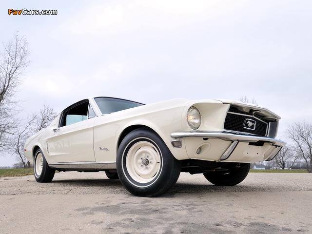 Images of Mustang Lightweight 428/335 HP Tasca Car 1967 (640 x 480)