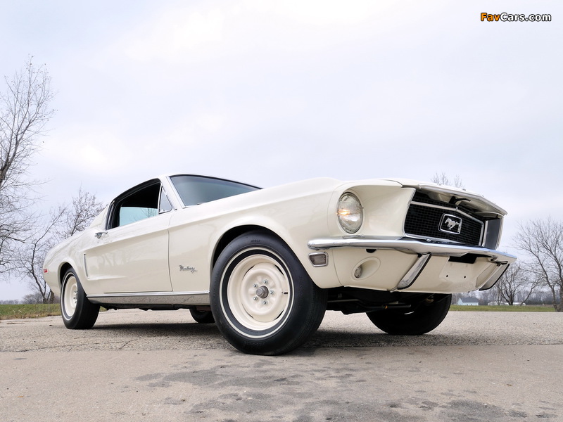Images of Mustang Lightweight 428/335 HP Tasca Car 1967 (800 x 600)