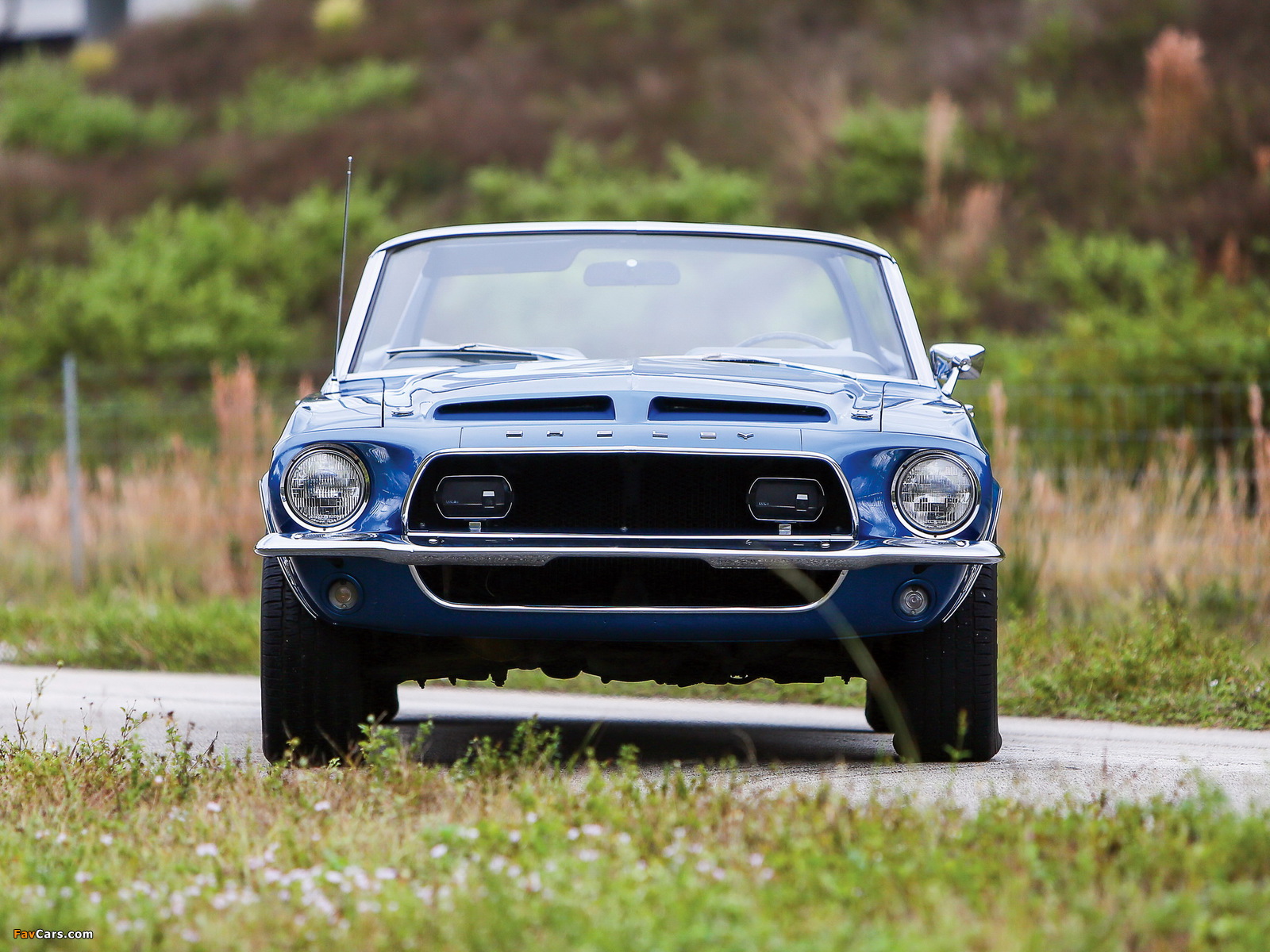 Images of Shelby GT350 Convertible 1968 (1600 x 1200)