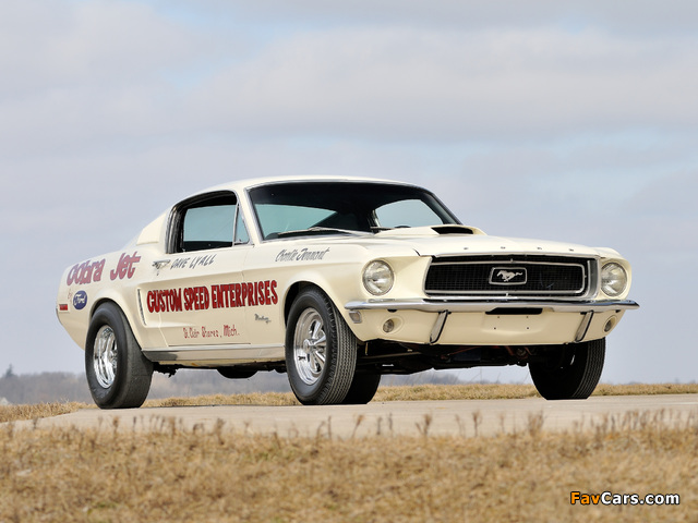 Images of Mustang Lightweight 428 Cobra Jet 1968 (640 x 480)