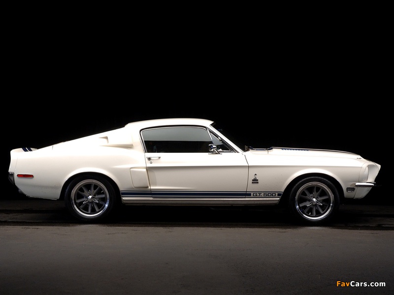 Images of Shelby GT500 1968 (800 x 600)