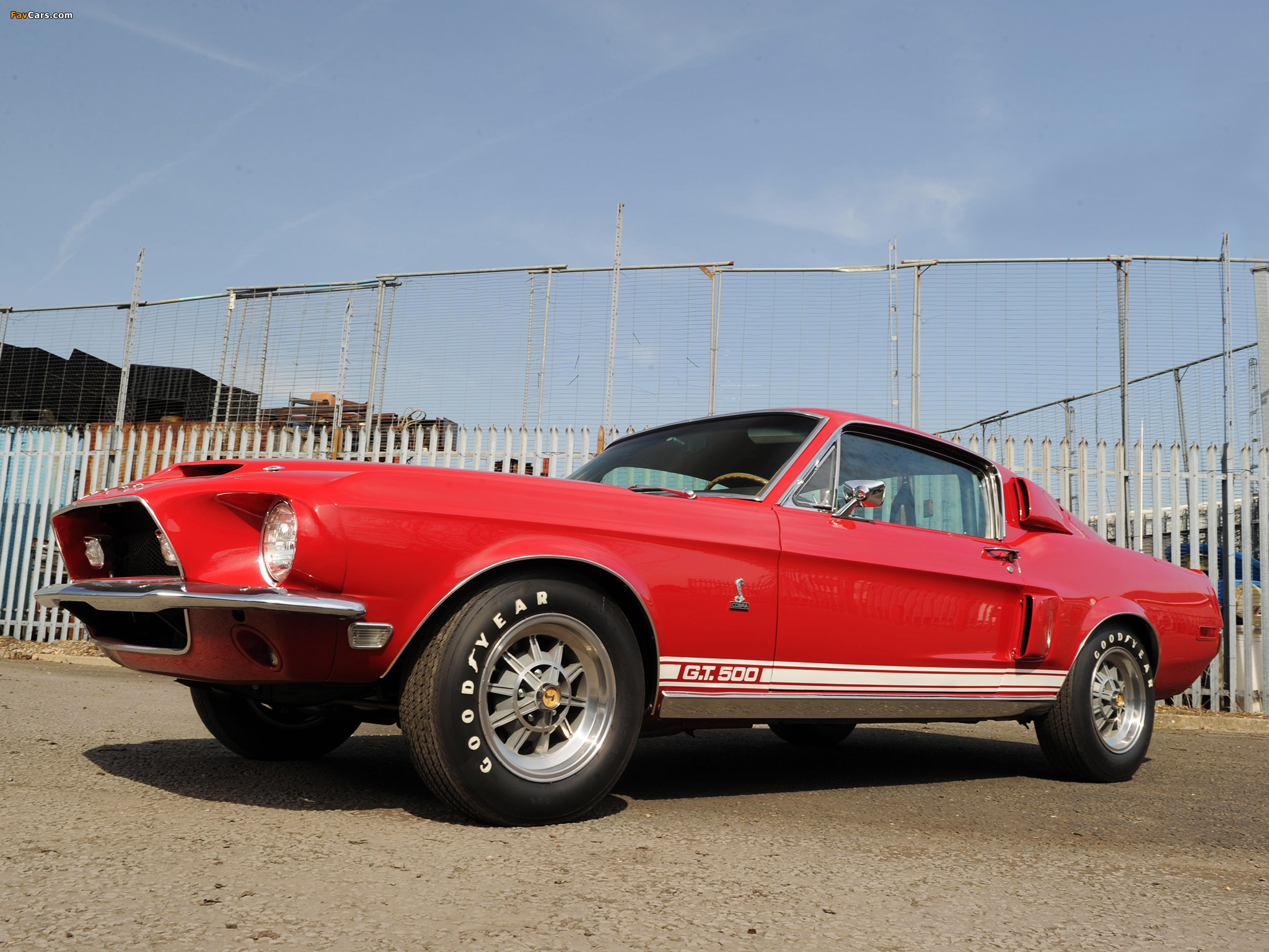Images of Shelby GT500 1968 (2048 x 1536)