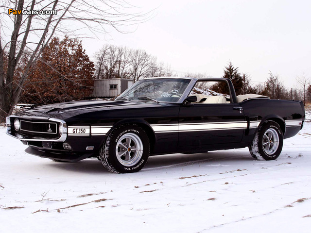 Images of Shelby GT350 Convertible 1969 (640 x 480)