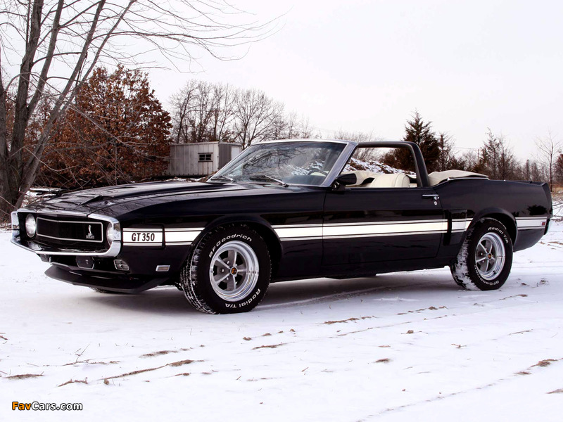 Images of Shelby GT350 Convertible 1969 (800 x 600)