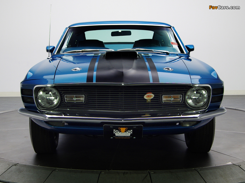 Images of Mustang Mach 1 428 Super Cobra Jet 1970 (800 x 600)