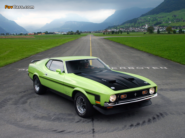 Images of Mustang Boss 351 1971 (640 x 480)