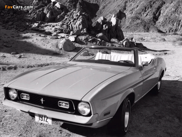 Images of Mustang Convertible 1972 (640 x 480)
