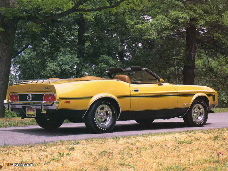 Images of Mustang Convertible 1973 (800 x 600)