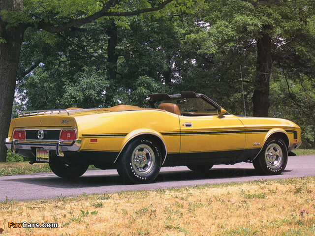 Images of Mustang Convertible 1973 (640 x 480)