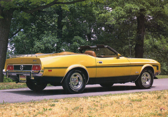 Images of Mustang Convertible 1973
