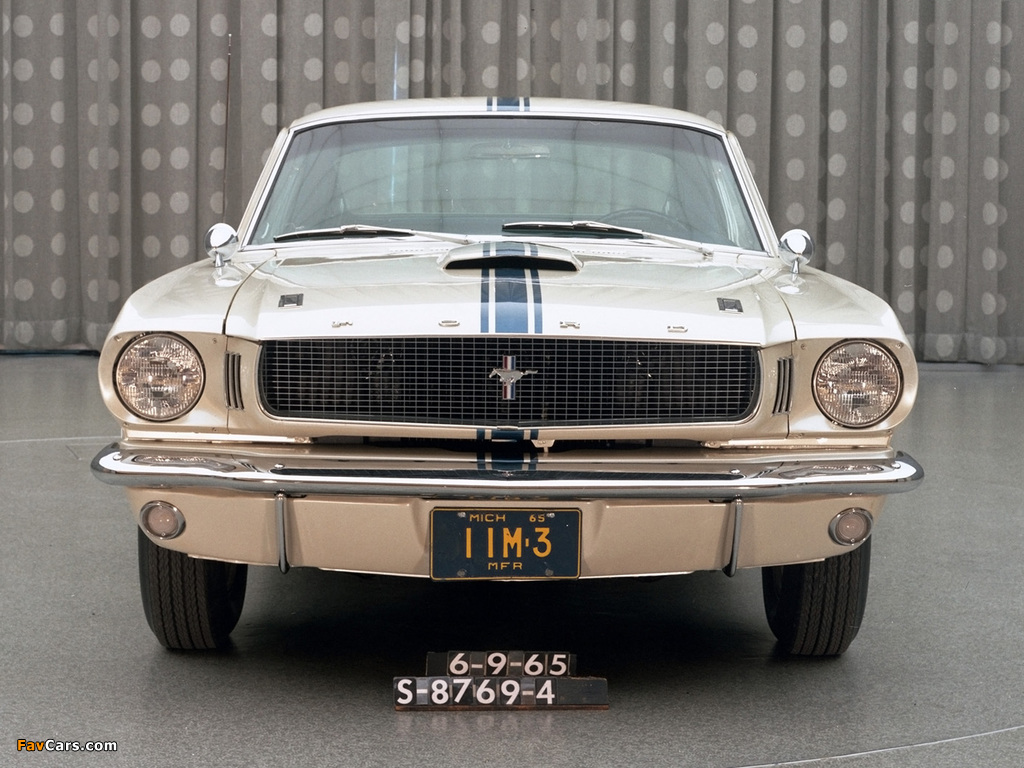 Mustang EBF II 1964 images (1024 x 768)