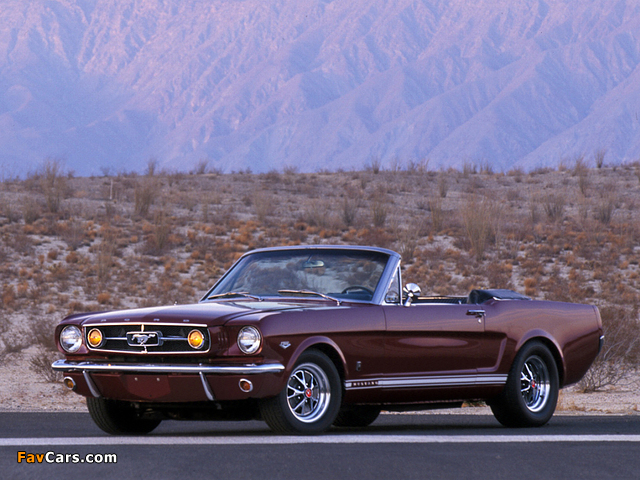 Mustang Convertible 1964 photos (640 x 480)