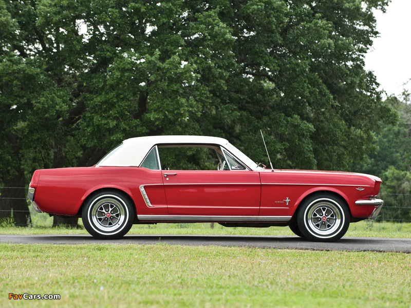 Mustang 260 Coupe 1964 photos (800 x 600)
