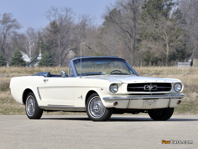 Mustang 260 Convertible 1964 pictures (640 x 480)