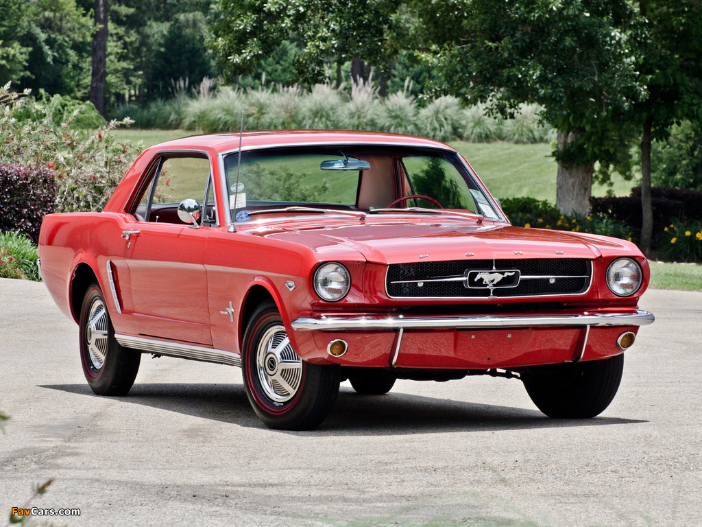 Mustang Coupe 1965 images (1024 x 768)