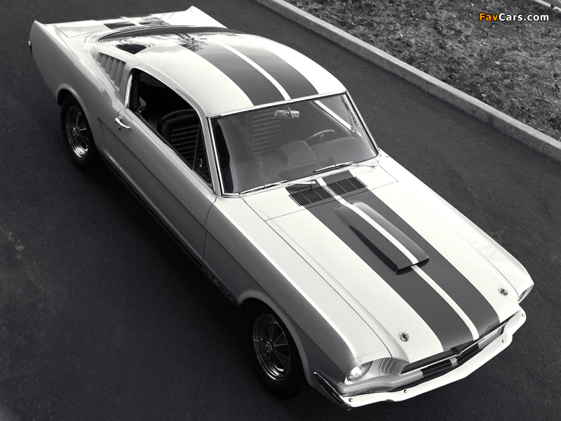 Shelby GT350 1965 images (800 x 600)