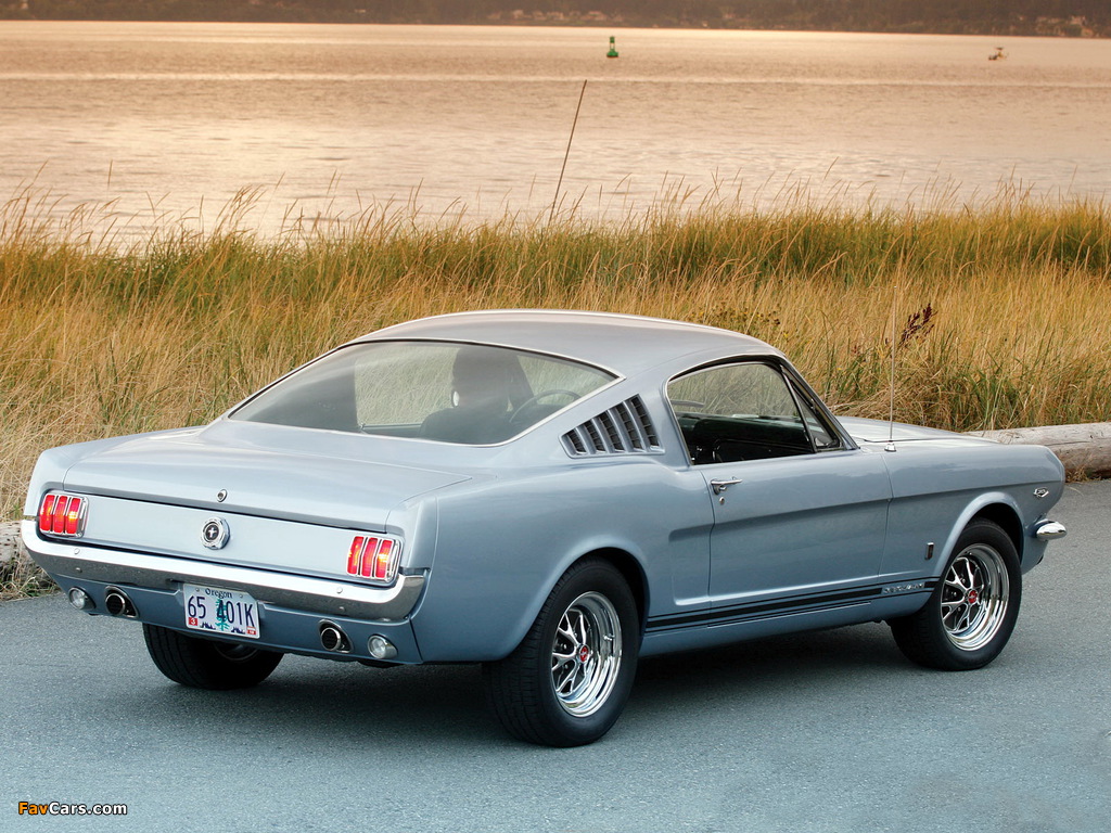 Mustang GT Fastback 1965 images (1024 x 768)