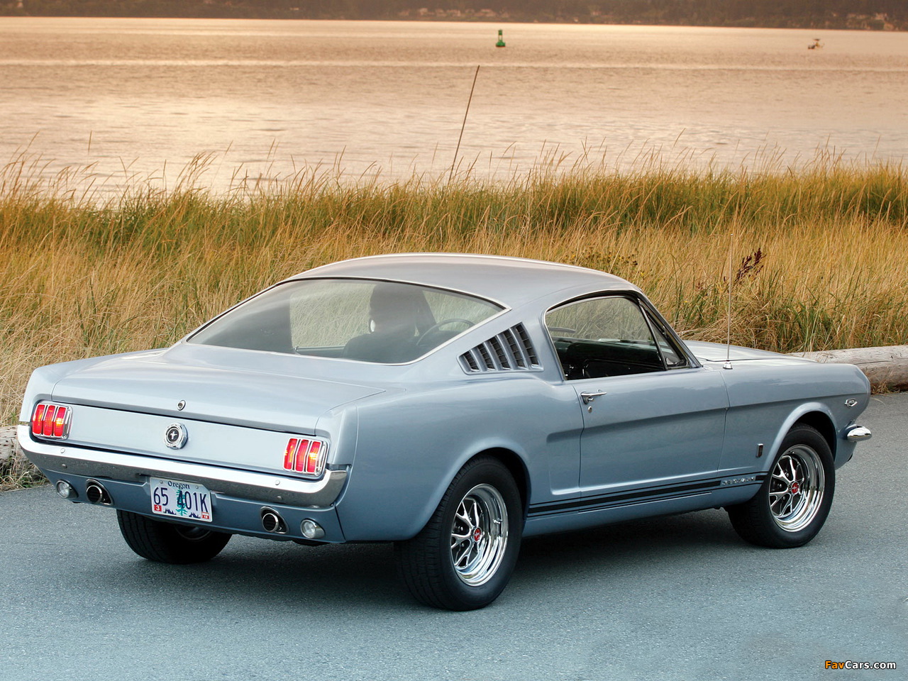 Mustang GT Fastback 1965 images (1280 x 960)