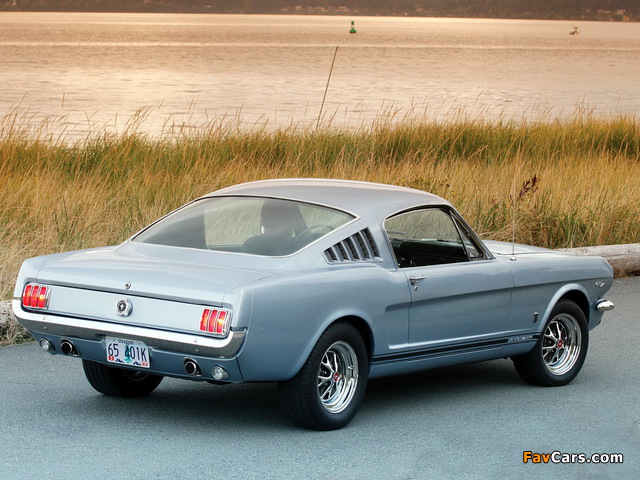 Mustang GT Fastback 1965 images (640 x 480)