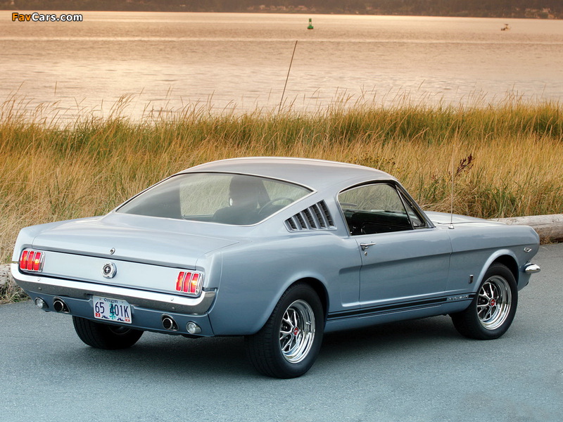 Mustang GT Fastback 1965 images (800 x 600)