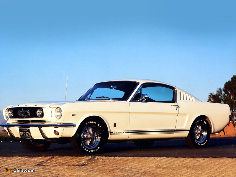 Mustang GT Fastback 1965 images (800 x 600)