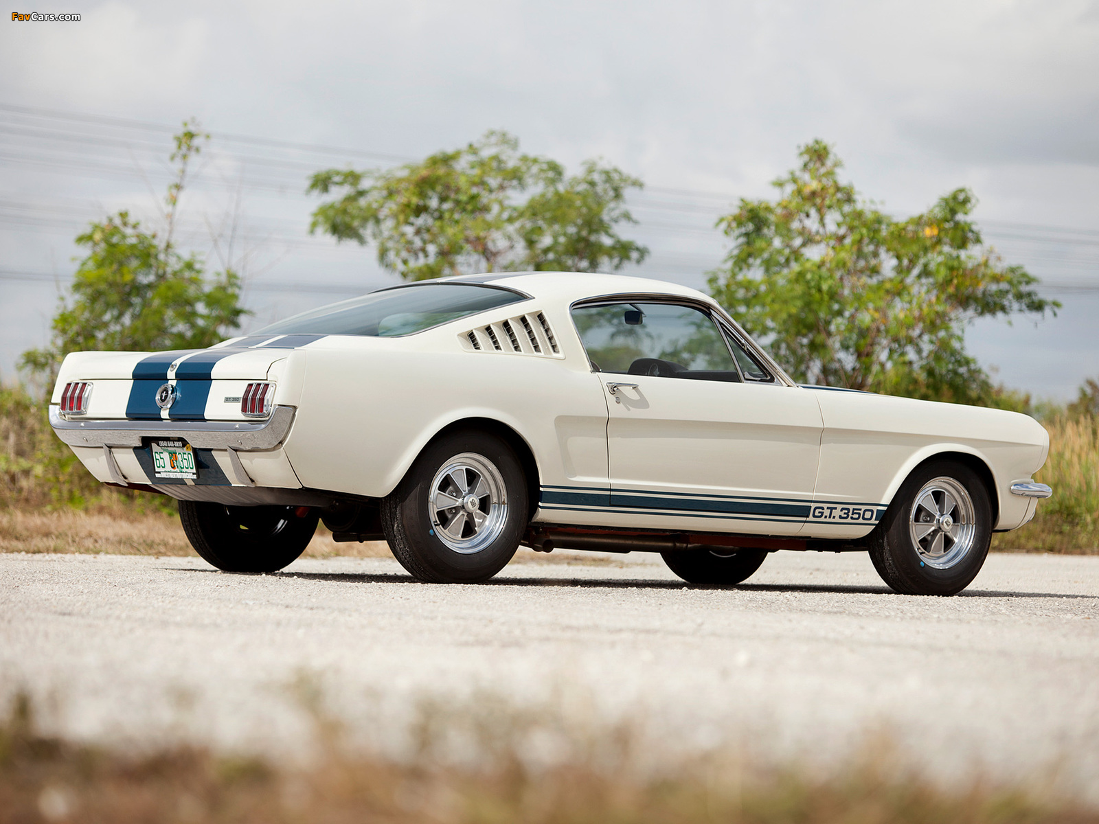 Shelby GT350 1965 images (1600 x 1200)