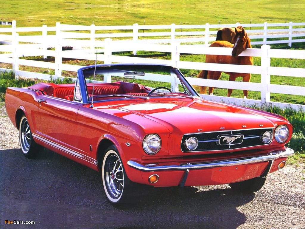 Mustang GT Convertible 1965 images (1024 x 768)