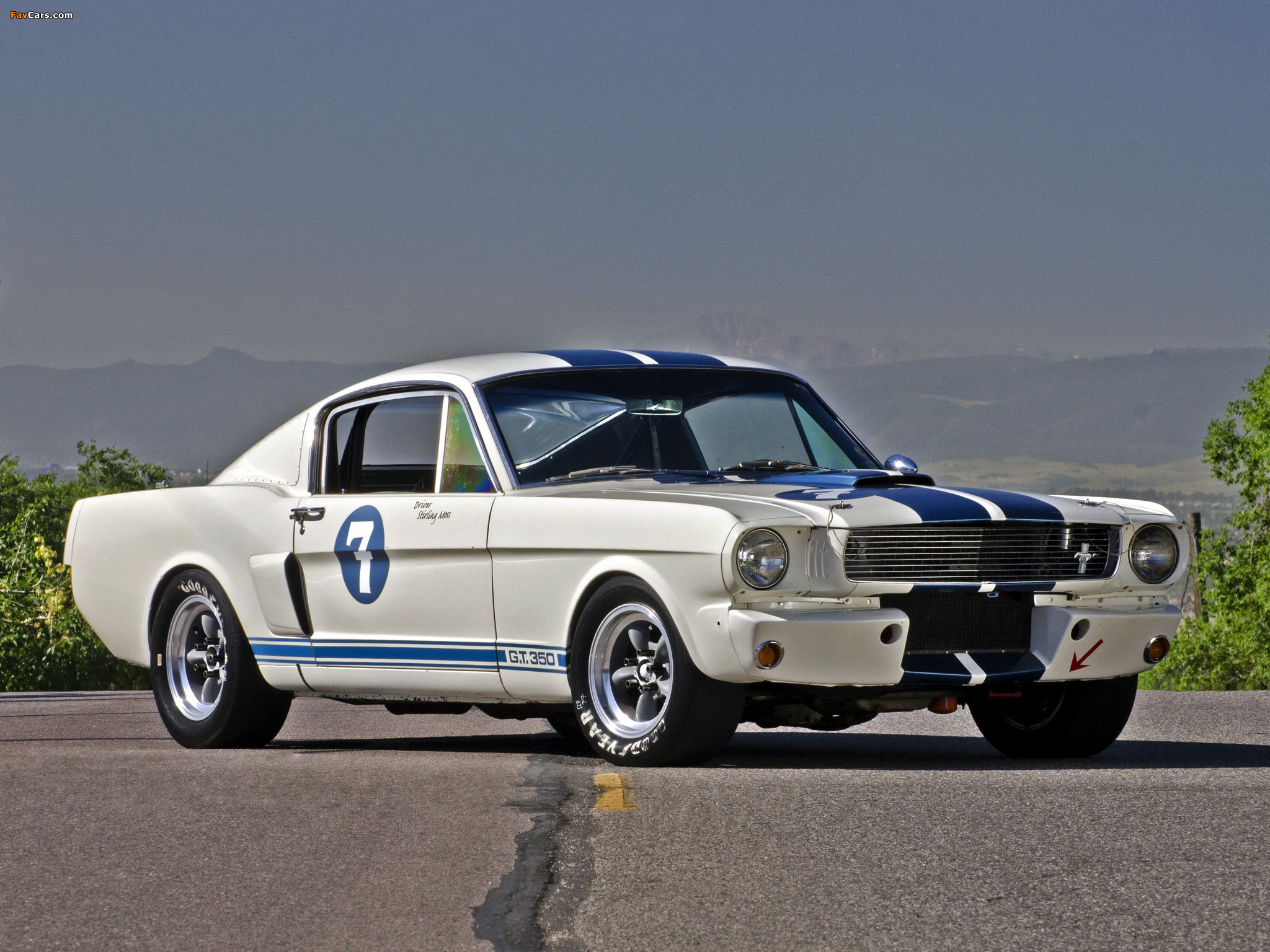 Shelby GT350R 1965 images (2048 x 1536)