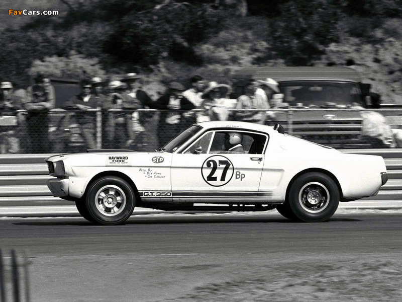Shelby GT350R 1965 images (800 x 600)